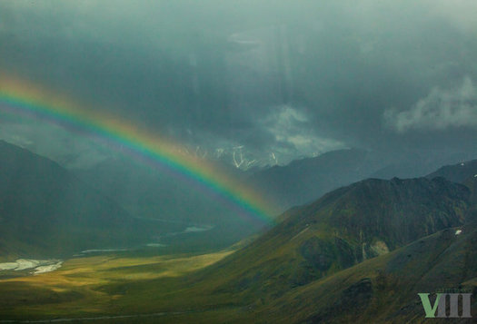 A proposal to allow oil drilling in the Arctic National Wildlife Refuge has spurred competing legislation in Congress, and Arizonans are being asked to weigh in. (Micah Baird/Sierra Club)
