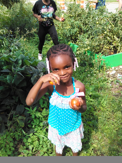 Ohioans can learn about vegetable production and other topics during an annual farm tour series. (Glass City Goat Gals)