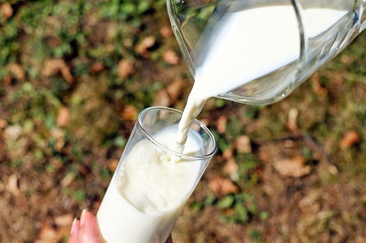 The federal government doesn't allow raw milk to be sold across state lines because of the health risks associated with lack of pasteurization. (Couleur/Pixabay)