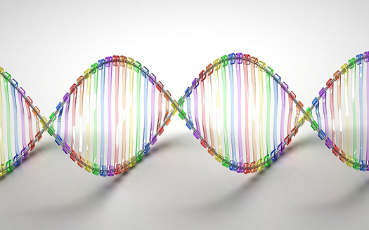 Experts say mutations in a person's DNA are the most common cause of cancer. (Caroline Davis2010/Flickr)