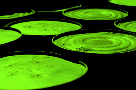 The Regulatory Accountability Act could increase consumer exposure to known toxins, say opponents. (John Morgan/flickr.com)