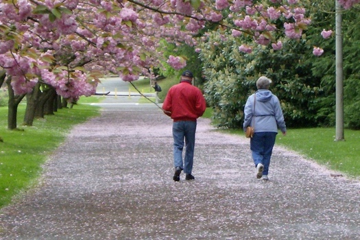 Incorporating additional movement into daily life can help reduce the risk of diabetes for folks age 65 and older. (Mtn and Sea/Flickr)