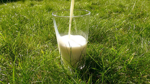 Iowa prohibits the commercial and private sales of raw milk. (Health Gauge/Flickr)