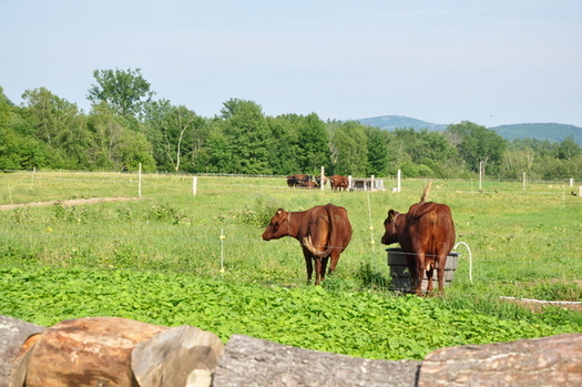 Consumers are making it clear they want more organic food on the shelves. (Maine Organic Farming)