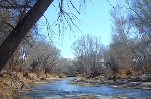 Conservation advocates say the San Pedro River may be endangered by a water bill passed this year, part of the reason most of the legislators received an F on the annual Sierra Club Environmental Report Card.(Wikimedia Commons)