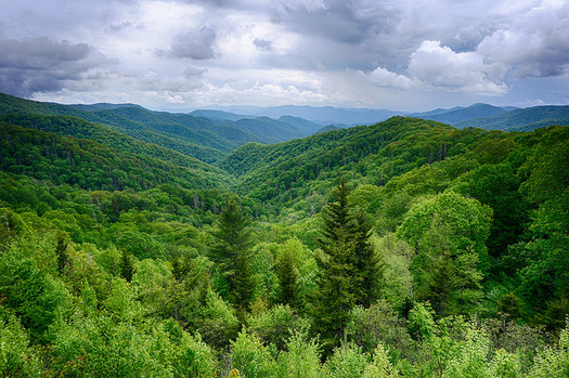 Great Smoky Mountains National Park is the most visited in the nation, by more people than the Grand Canyon and Yellowstone combined. (Steve Harwood/Flickr)