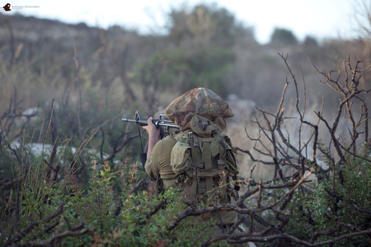 A Colorado veteran who served as a sniper in Kosovo and Iraq is calling on leaders in Washington, D.C., to protect the greater sage-grouse habitat from energy development. (Getty Images)