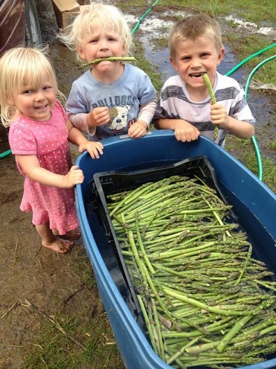 More of Minnesota's children have access to fresh produce as a result of the Market Bucks program. (Jesse Davis)