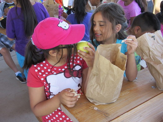 El Servicio de Comida de Verano es un programa federal que provee recursos para comidas veraniegas de los nios durante el receso escolar. (School's Out Washington)