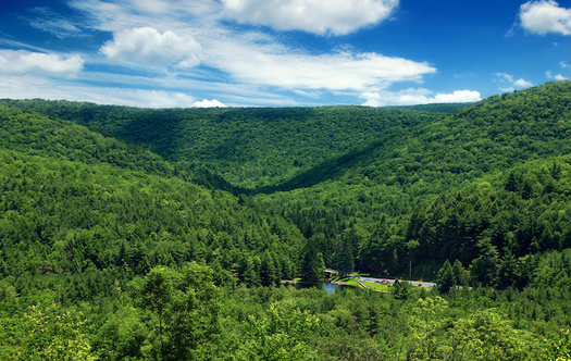 The Pennsylvania Supreme Court ruled the state must act at all times as a trustee of public natural resources. (Nicholas A. Tonelli/Flickr)