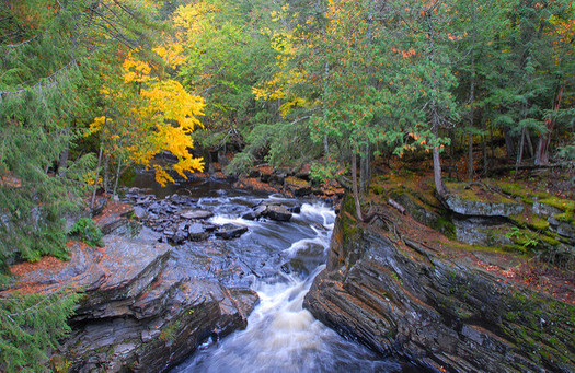 Protections for 60 percent of U.S. streams are at risk. (Jim Sorbe/Flirckr)