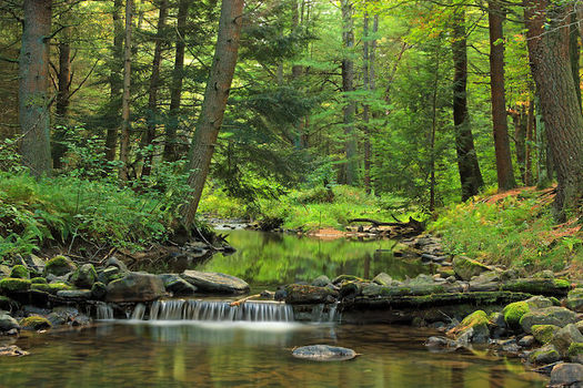 Drinking water for 63 percent of Pennsylvanians comes from sources that rely on small streams. (Nicholas A. Tonelli/Wikimedia Commons)