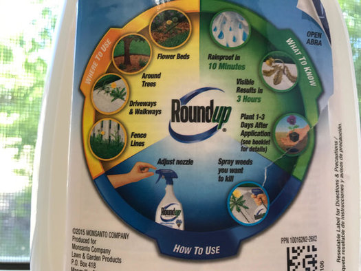 Monsanto, the maker of Roundup, has undergone some long and expensive legal battles to challenge those who say its weed killer is dangerous to human health. (Chris Thomas)