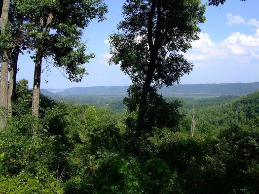 State-owned lands such as Shawnee State Forest could be opened to oil and gas drilling if state senators override a veto from the Governor. (ODNR)