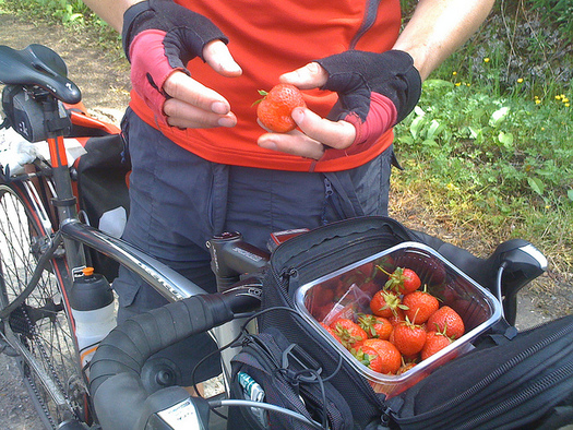 Bring healthy snacks on the road this summer to help avoid summer weight gain. (David Harris/Flickr)