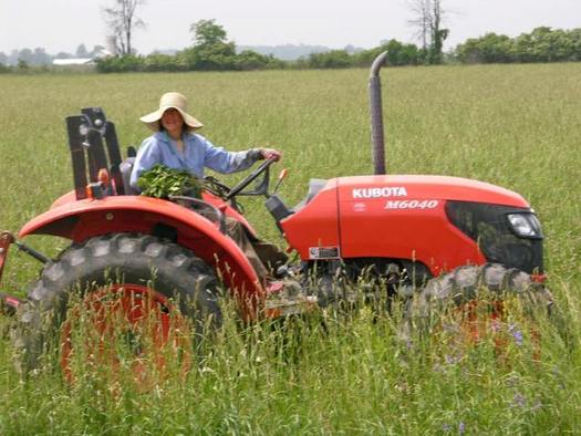 Teri Utz Bersee of Logan County says the Nexus pipeline would threaten the future of her organic farm. (Bersee and Utz Heirloom Farm)