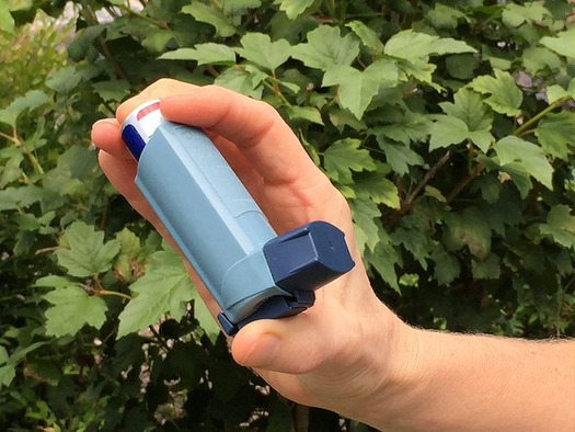 Granite Staters living with asthma are among those likely to have a tough time on hot summer days according to a new report. (NIAID)