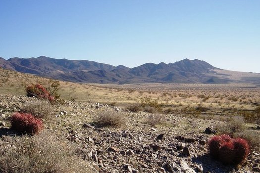 Mojave Trails National Monument, which connects Joshua Tree to Death Valley, could be downsized under a review by the U.S. Dept. of the Interior. (Bryn Jones)