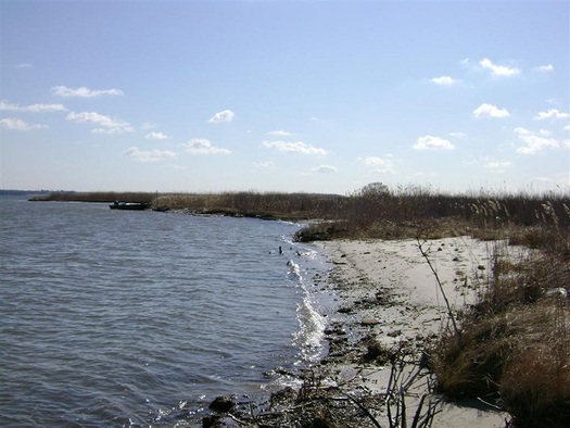 Clean drinking water in several states is reliant on government funding for  Chesapeake Bay. (Fish and Wildlife Service)