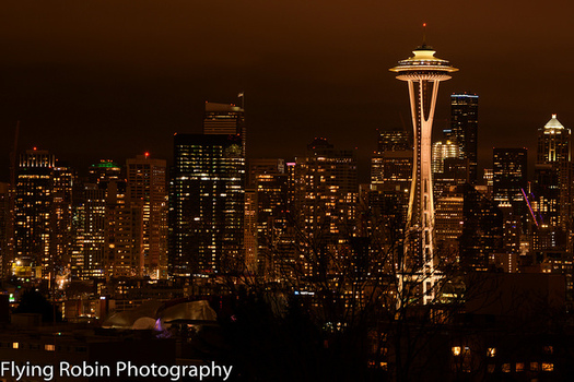 Public utilities in the Northwest rely on energy from Bonneville Power Administration grids. (Flying Robin photography/Flickr)