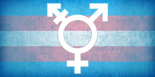 Eighteen other countries allow transgender people to serve openly in the military. (Dustin Perry)