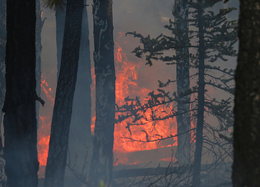 According to the Environmental Protection Agency, the size and frequency of wildfires have been on the rise since 1983. (Getty Images)