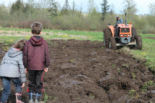 One of the farmers involved in the Photovoice project, Anna Caruso of Caruso Farms, says she takes care of the land to produce food for people, but also for her children. (Anna Caruso)