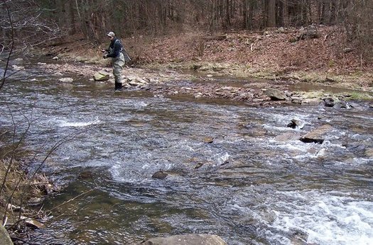 Anglers say they're seeing more and better brook trout since the North River has been restored closer to its natural state. (Mossy Creek Fly Fishing)