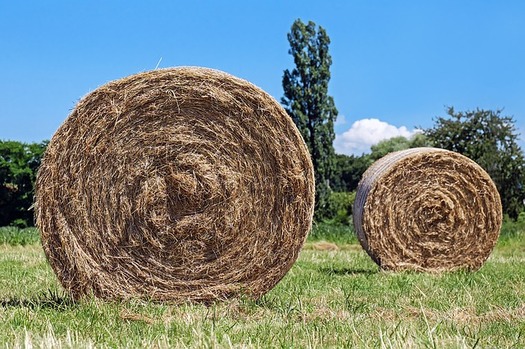 Extreme drought in three states has caused a severe shortage of hay for ranchers and farmers. (Pixabay)