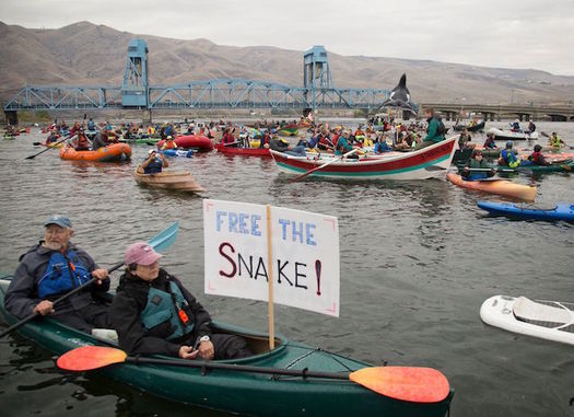 About 350 people came out last year for the Free the Snake Flotilla to oppose four dams on the river. (Free the Snake Flotilla)