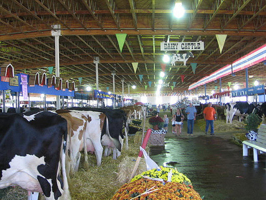 The dairy industry relies on foreign-born labor, although it isn't eligible for the H-2A visa. (Kenneth Freeman/Flickr)