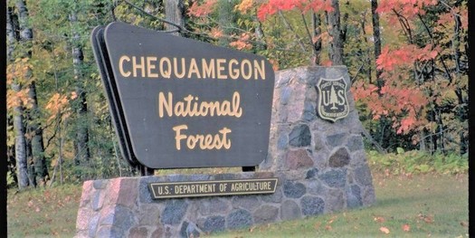 Wisconsin residents who live near this national forest say the state's bear hunt is diminishing the recreational value of public lands. (USDA photo)