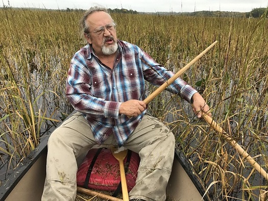 Jeff Savage harvests rice on Perch Lake, part of the Fond du Lac band of Ojibwe reservation. (Laurie Stern)