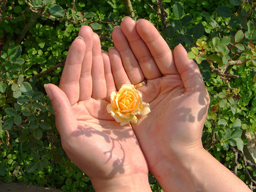 Some faith groups say a state budget measure would threaten Pennsylvania's environment and health.(Hamed Saber/Flickr)