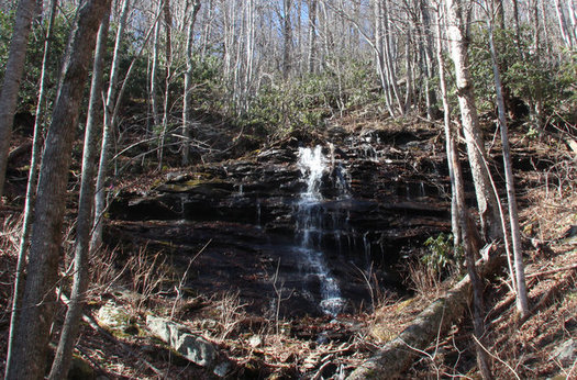 The Southern Appalachian Highlands Conservancy maintains Laurel Ridge Preserve, which adjoins Asheville Watershed land. (SAHC)