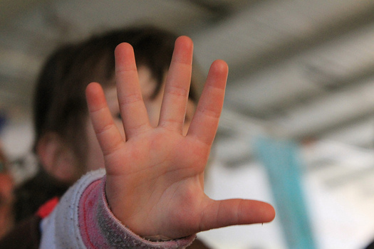 An estimated 25,000 children weren't counted in North Carolina in 2010, and 39 state groups want to make sure the 2020 Census is properly funding to prevent an undercount from happening again. (roberto volterra/flickr)