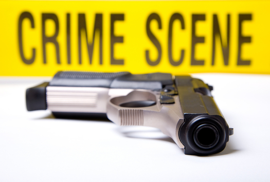 The National Association of Social Workers has asked the Trump administration to declare gun violence a national health emergency on par with the opioid crisis. (Rich Legg/iStockphoto)