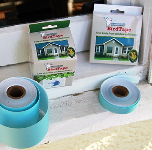 Products such as BirdTape are inexpensive ways to prevent collisions into home windows. (abcbirds.org)