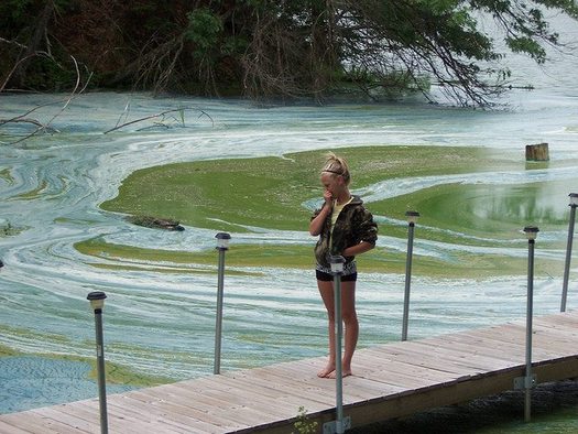 Warmer Wisconsin summers are bringing more blue-green algae blooms, and shorter winters are affecting fish populations in Northern Wisconsin. (Clean Wisconsin)