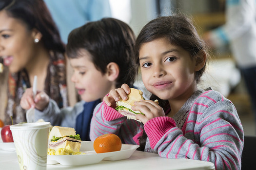 Nebraska ranks 37th among states when it comes to key childhood milestones among Latino children. (U.S. Department of Agriculture)