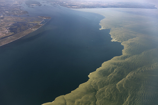 Algal blooms in Lake Erie threaten drinking water, lake health and local economies. (Aerial Associates Photography, Inc. by Zachary Haslick/NOAA/Flickr)