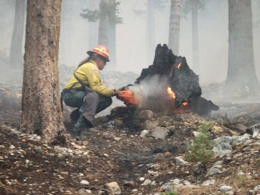 The Carpenter 1 fire on Mount Charleston choked skies over Las Vegas with smoke for several days in 2013. (inciweb.nwcg.gov)