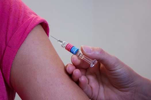 Funding in the budget makes every 11- and 12-year-old eligible for the HPV vaccine. (dfuhlert/Pixabay)