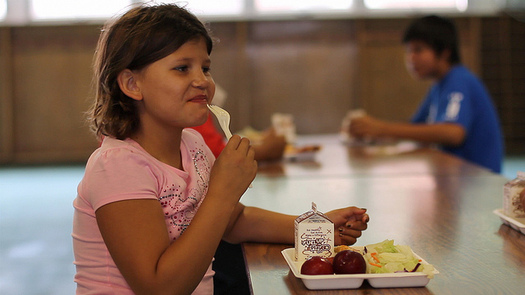 Opponents say the so-called school choice movement will divert money from public schools. (U.S. Dept. of Agriculture/Flickr)