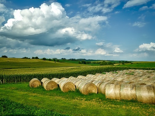 Three Iowa lawmakers sit on the House and Senate agriculture committees that are writing the first draft of the 2018 Farm Bill. (12019/Pixabay)
