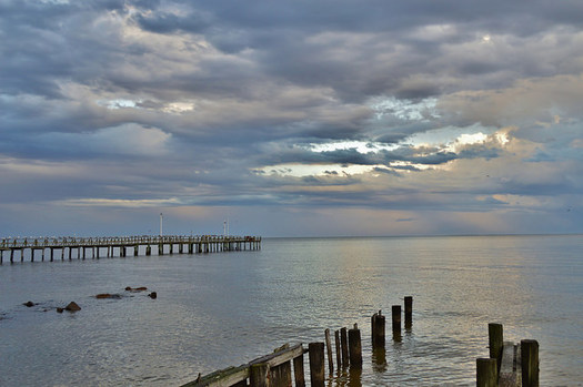 Chesapeake Bay Trust encourages the public to purchase Chesapeake Bay plates to help restore the bay and other natural resources in the region. (BelindaMariepix/Flickr)