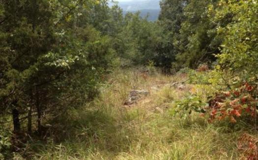 Jay Nixon State Park was closed at the beginning of 2017, while the Eleven Point, Bryant Creek, and Ozark Mountain parks have never been opened. (Missouri State Parks)
