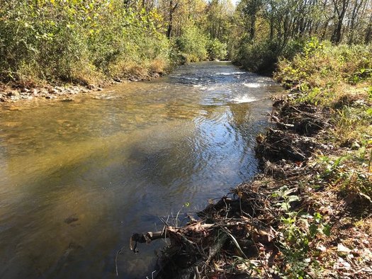 Banks on the stream in Stone Mountain State Park were excavated and cleared after a rock quarry damaged the health of the waterway. (Greg Jennings)