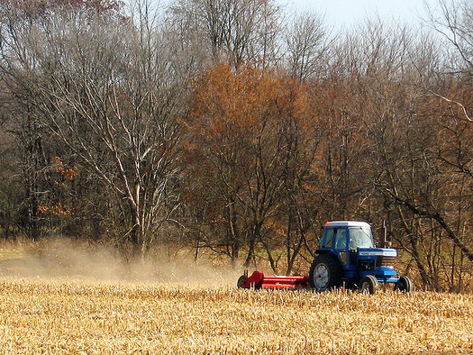 Since 2008, grasslands, pasture and forest in Wisconsin have been cleared for corn and other feedstock production related to the ethanol mandate. (Michael Mooney/Flickr)