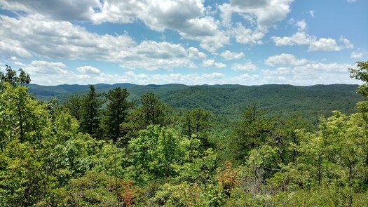 The Rock Creek tract of land is among the acreage protected by the Foothills Conservancy of North Carolina. (Foothills Conservancy of North Carolina)